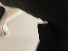 Load image into Gallery viewer, Chanel Black Quilted Leather Belt With Gold Black Leather Buckle