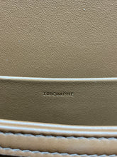 Load image into Gallery viewer, Celine Classic Triomphe Canvas Calfskin Crossbody Bag