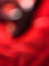 Load image into Gallery viewer, Chanel Classic Red Lambskin Limited Edition Camellia Woc Small Handbag