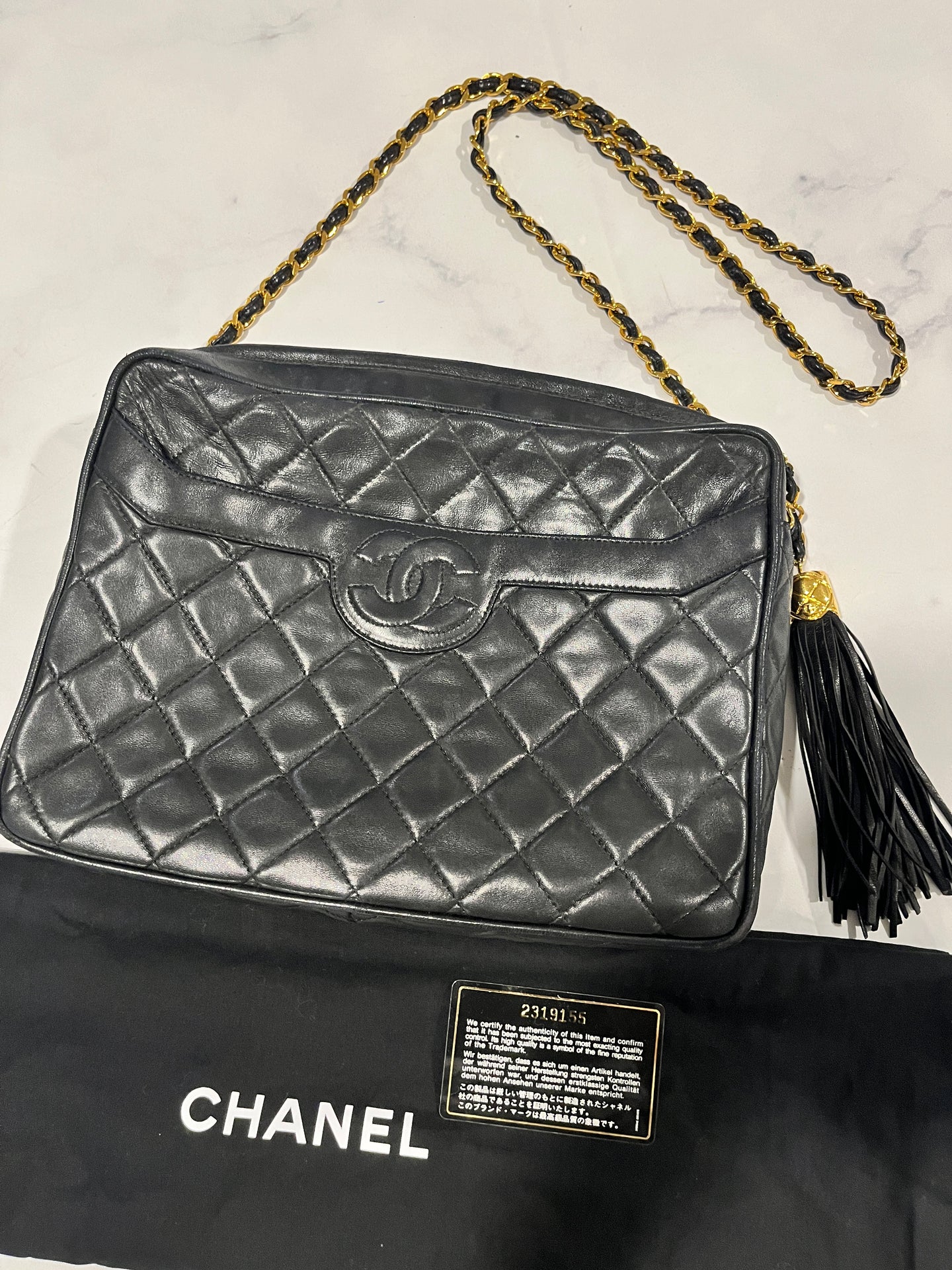 Chanel Lambskin Vintage Camera Crossbody Bag