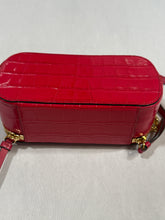 Load image into Gallery viewer, Chloe Small Croc Embossed Pink Vanity Crossbody
