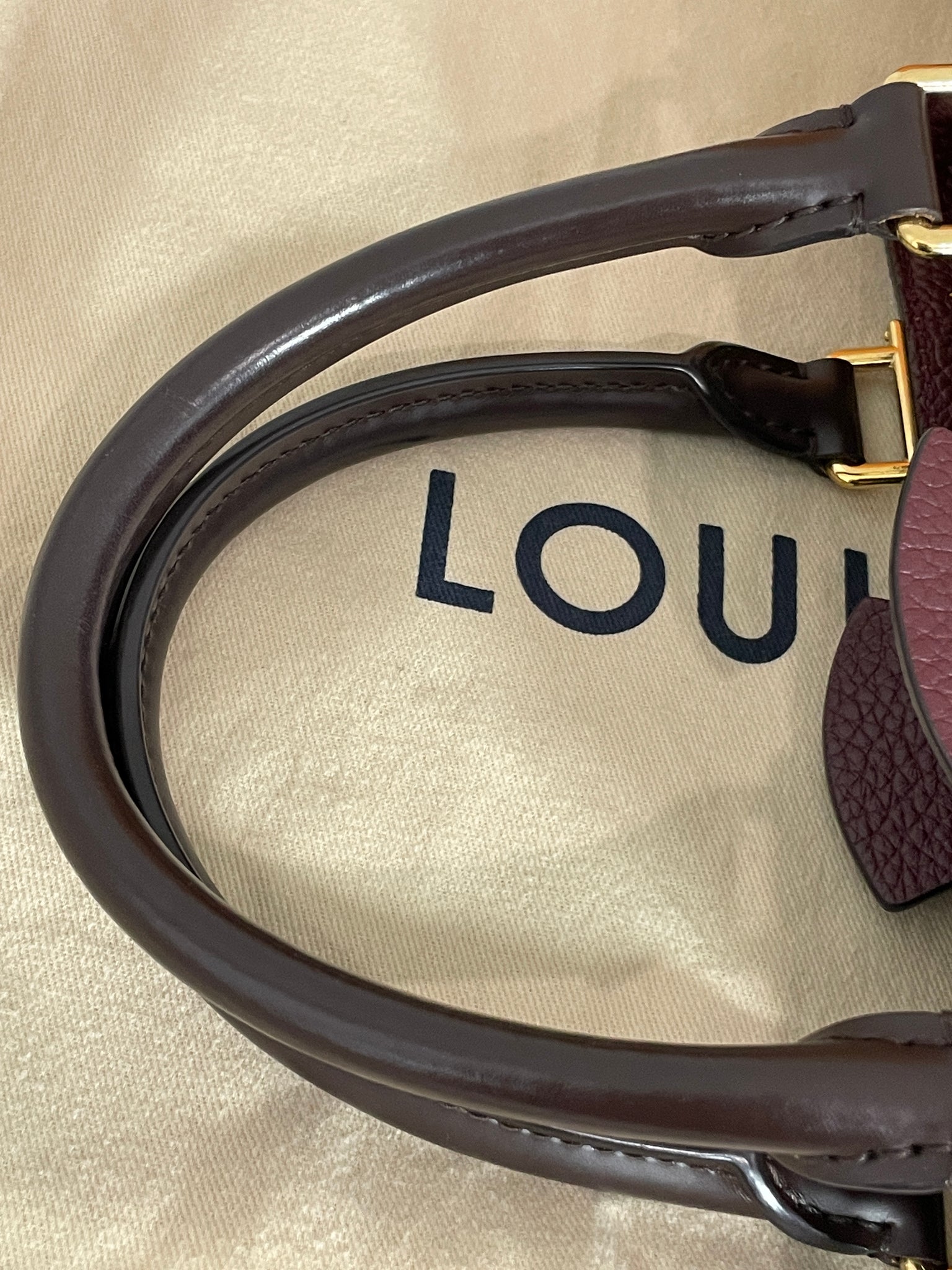 Louis Vuitton Damier Ebene Canvas with Burgandy Leather Brittany
