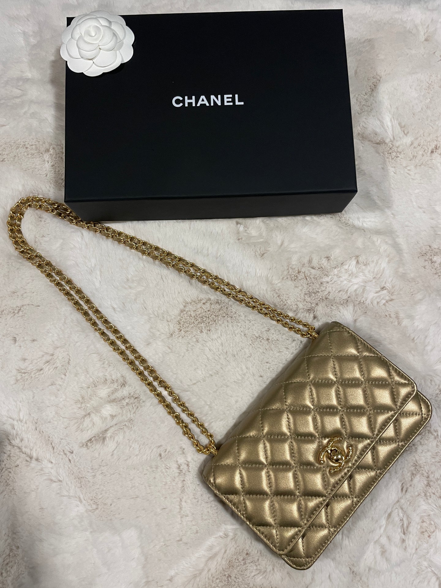 Chanel Metallic Gold Lambskin Classic Wallet-On-Chain (WOC) Q6BATL4NDB005