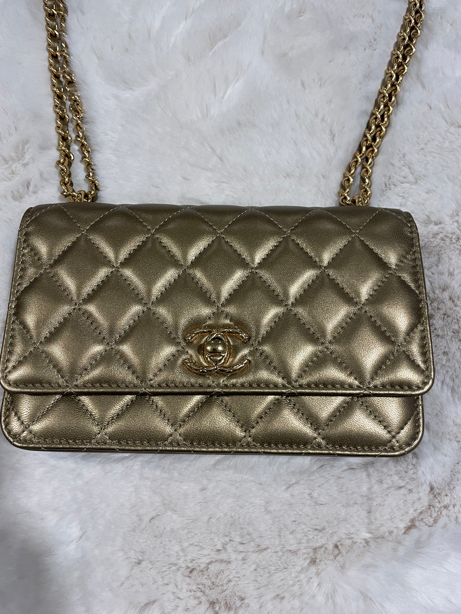 CHANEL, Bags, Chanel Tanlight Brown W Gold Hardware Wallet On Chain