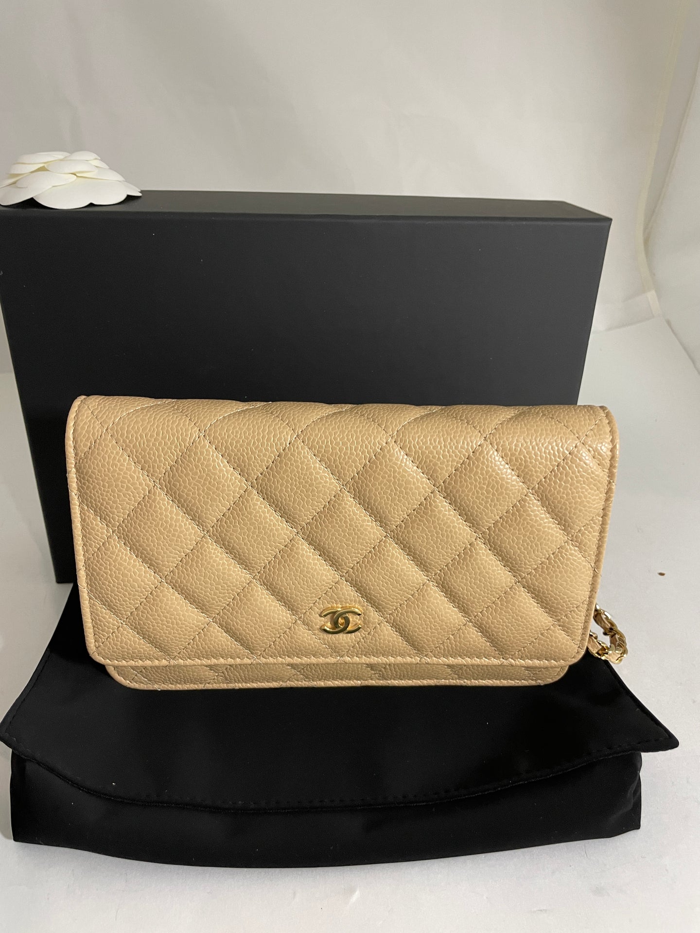 BRAND NEW CHANEL Beige GHW Caviar Wallet on Chain WOC with Receipt 