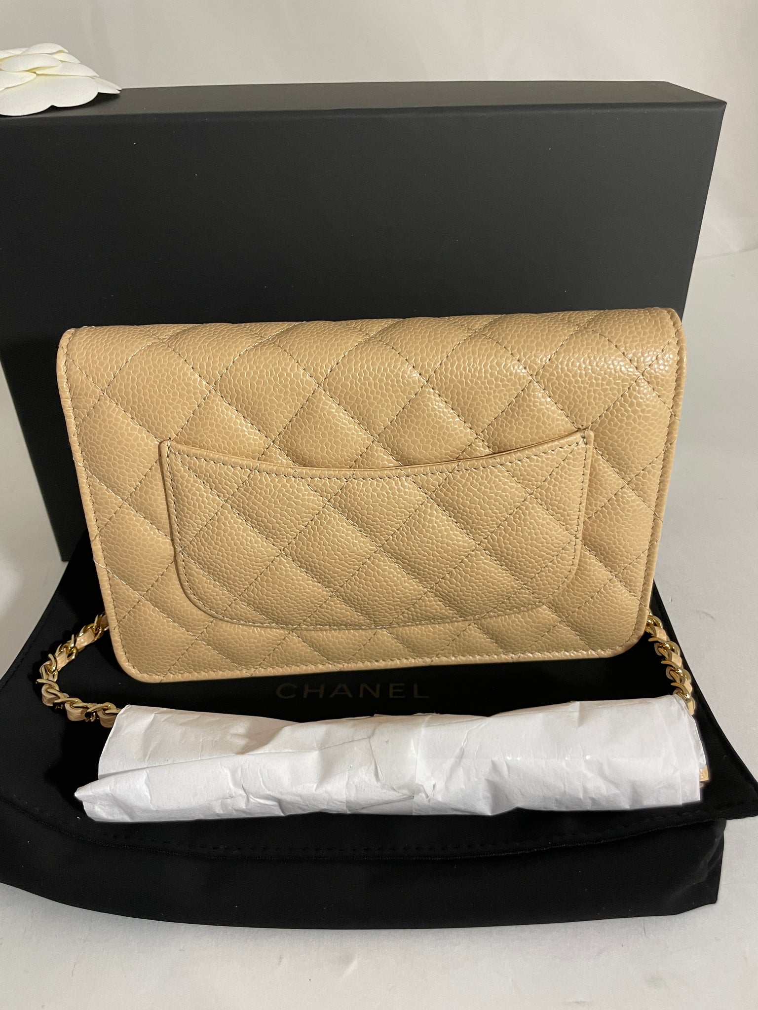 Chanel Nude Beige Caviar Leather Wallet on Chain Flap Crossbody WOC 861270  at 1stDibs