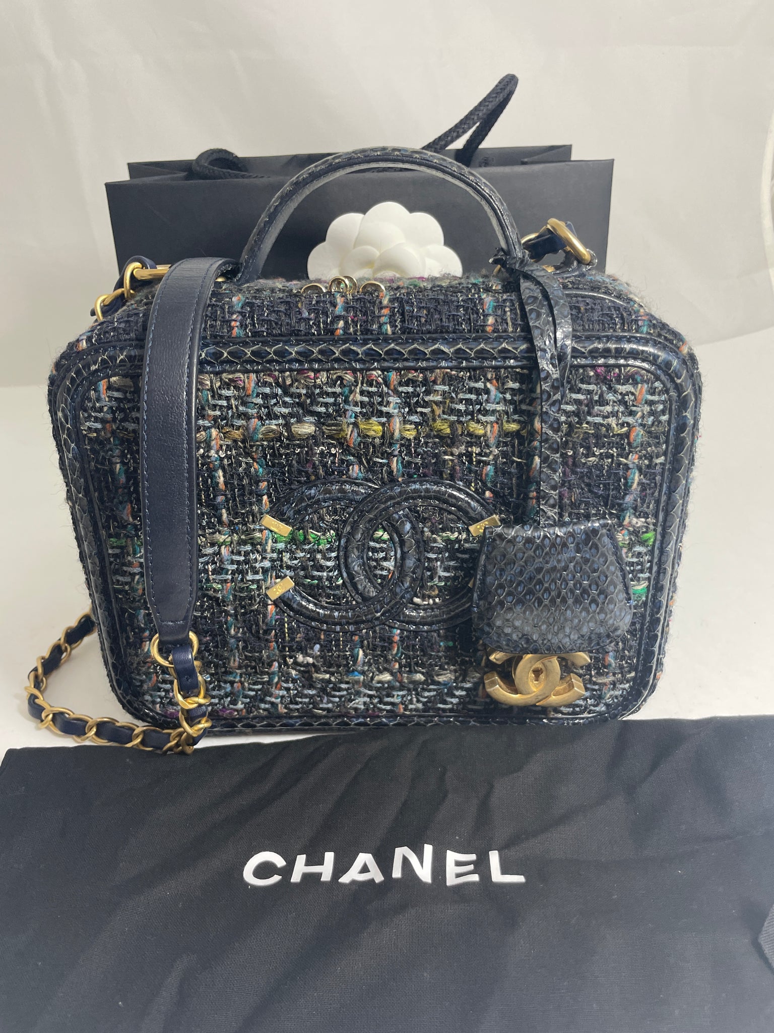Chanel Blue Multicolor Snakeskin Filigree Medium Vanity Bag – The